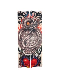 Manga Nº11 - Dragon (Adulto)