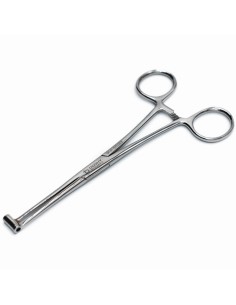 Long Septum Forceps Nº 2