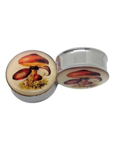 Dilatación Forest Mushroom