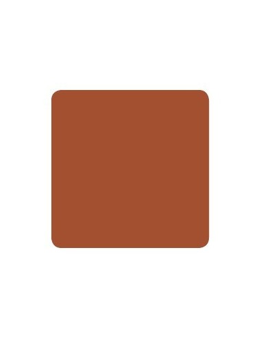 Eternal Ink Burnt Orange – Muted...