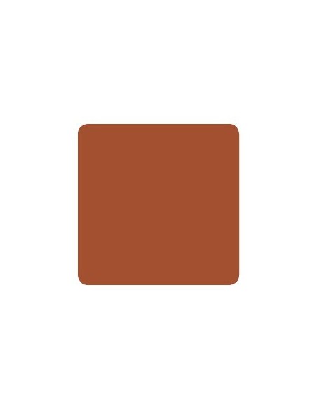 Eternal Ink Burnt Orange – Muted Earth Tones Tinta para Tatuaje