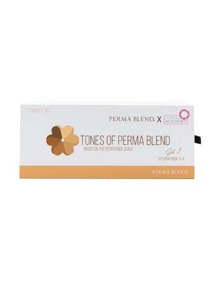 Set de Tinta Perma Blend - Tones of Perma Blend Set 2 (3-4) 6 x 15ml