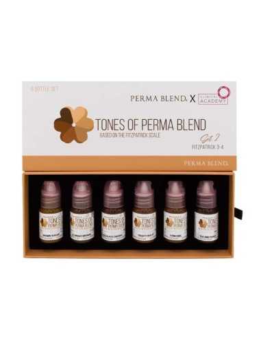 Set de Tinta Perma Blend - Tones of...