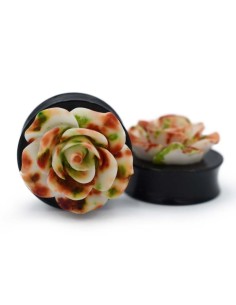 Dilatación Fire Rose