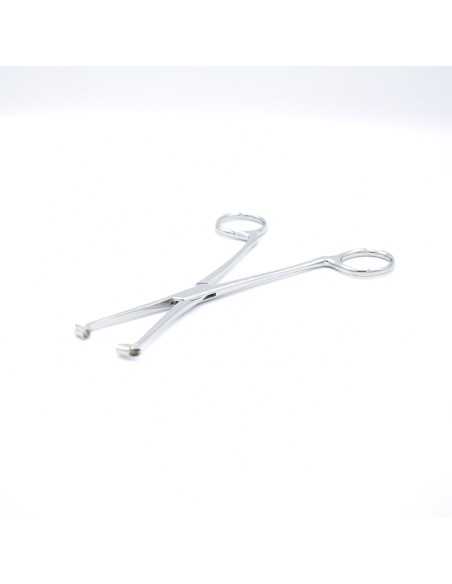 Septum Forceps