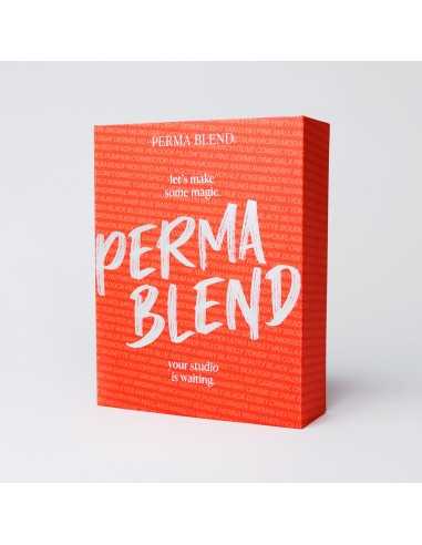 Classic Brow + Perma Pen Training Kit