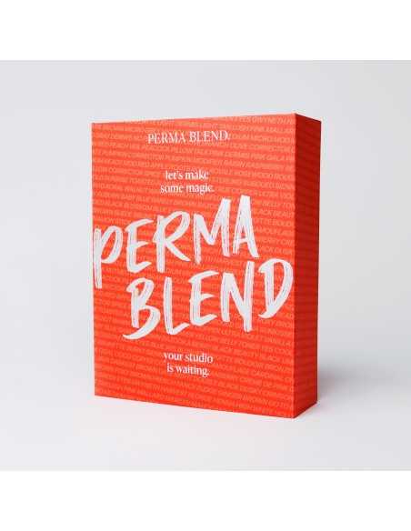 Classic Brow + Perma Pen Training Kit