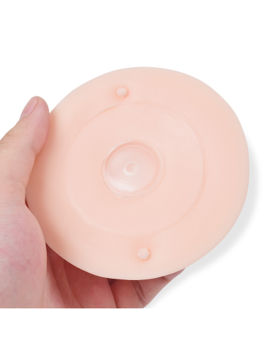 Areola Pleural práctica molde 3D