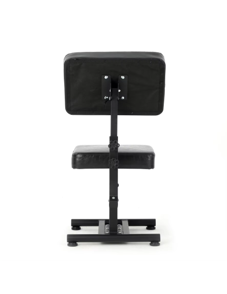 Taburete con Apoyabrazos YB-3009