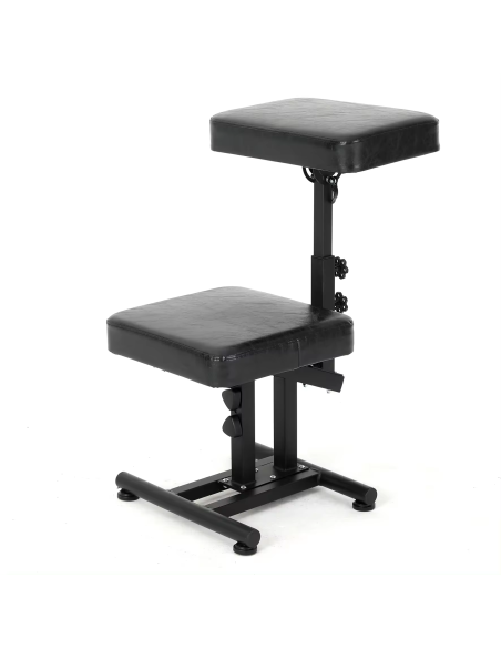 Taburete con Apoyabrazos YB-3009