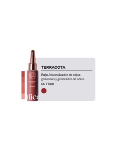 Alice Cosmetic Ink-Terracota
