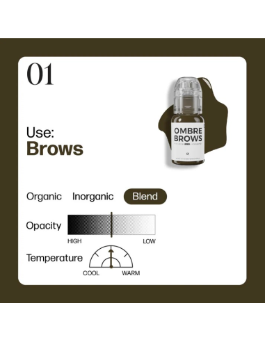 Perma Blend Luxe - OMBRE BROWS 01