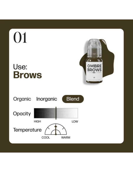 Perma Blend Luxe - OMBRE BROWS 01