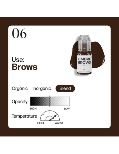 Perma Blend Lux - OMBRE BROWS 06
