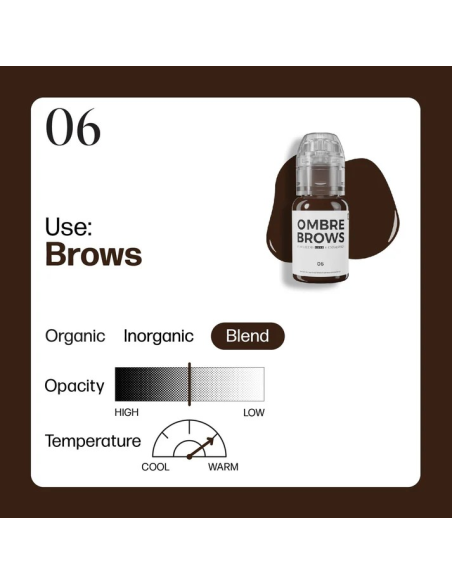 Perma Blend Luxe  - OMBRE BROWS 06