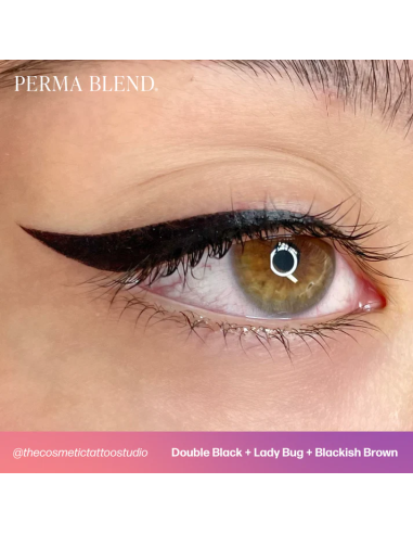 Perma Blend Ink - Double Black