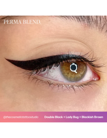 Perma Blend Ink - Double Black