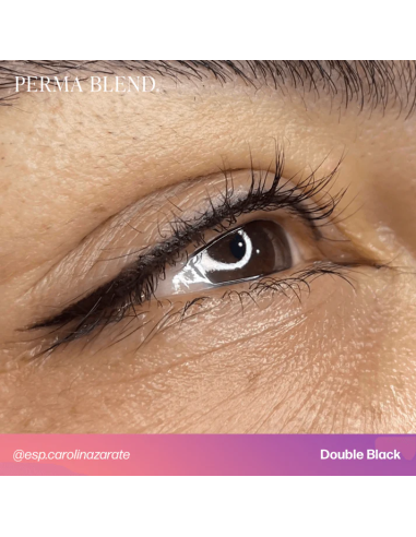 Perma Blend Ink - Double Black