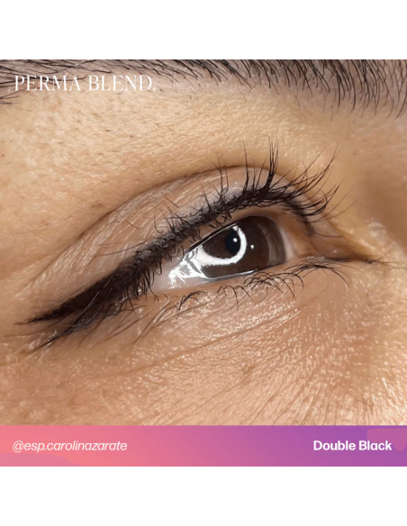 Perma Blend Ink - Double Black