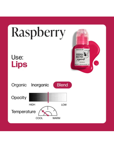 Perma Blend Ink - Raspberry