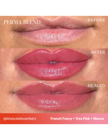 Perma Blend Ink - Tres Pink