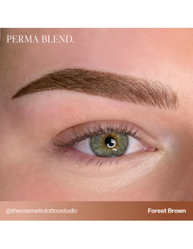 Perma Blend Ink - Forest Brown
