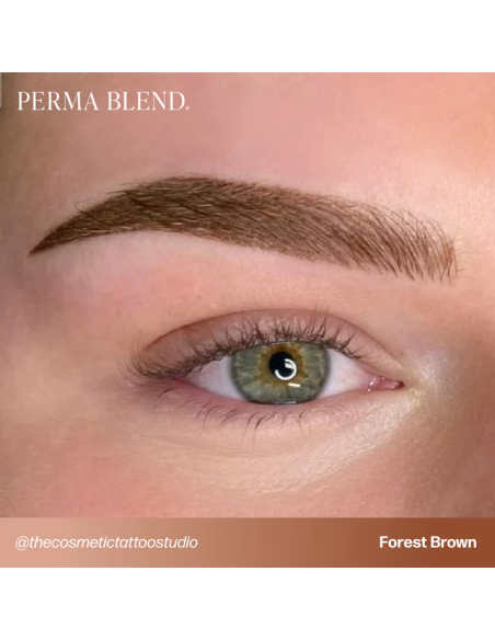 Perma Blend Ink - Forest Brown
