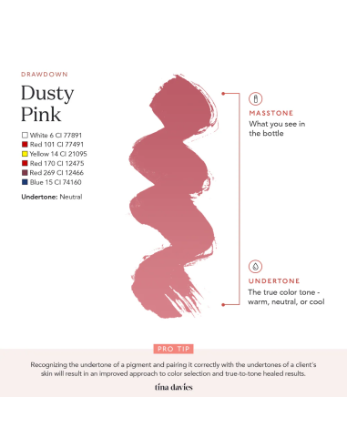 Perma Blend Ink - Tina Davies - Dusty...