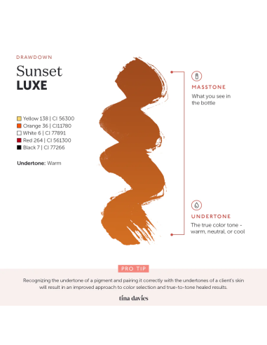 Pigmento Para PMU Perma Blend Luxe -...