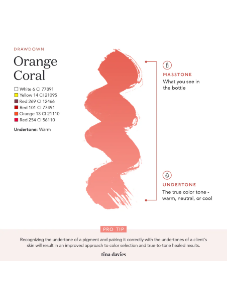 Perma Blend Ink - Tina Davies - Orange Coral