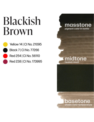 Perma Blend Ink - Blackish Brown