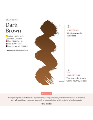 Perma Blend Ink - Dark Brown - Tina...