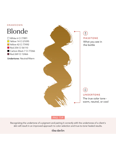 Perma Blend Ink - Tina Davies - Blonde