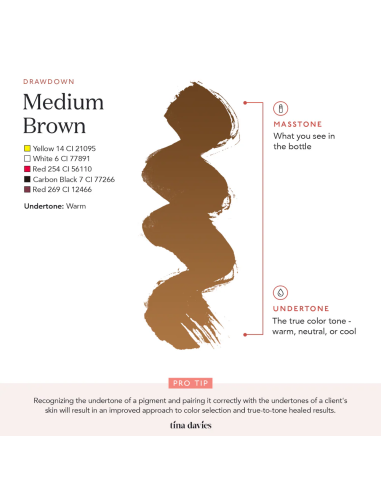 Perma Blend Ink - Tina Davies -...