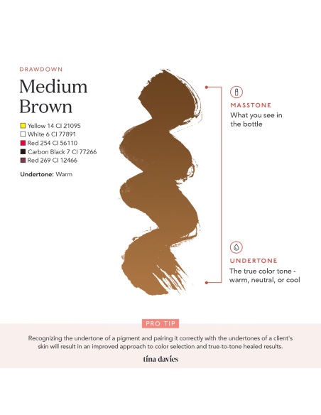 Perma Blend Ink - Tina Davies - Medium Brown