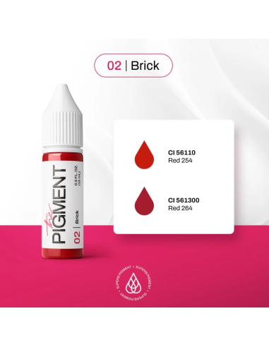 The Pigment-02 Brick - 15ml REACH