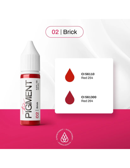 The Pigment-02 Brick - 15ml REACH