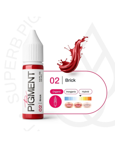 The Pigment-02 Brick - 15ml REACH