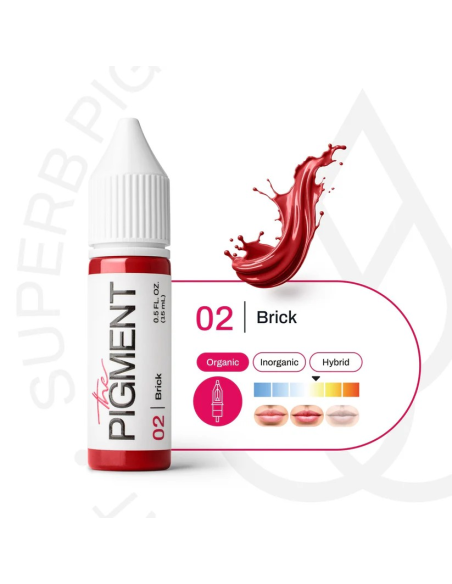 The Pigment-02 Brick - 15ml REACH