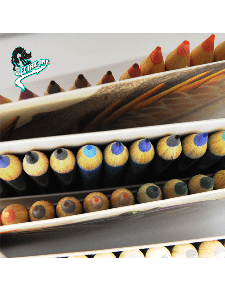 Lápices de colores Electric Ink