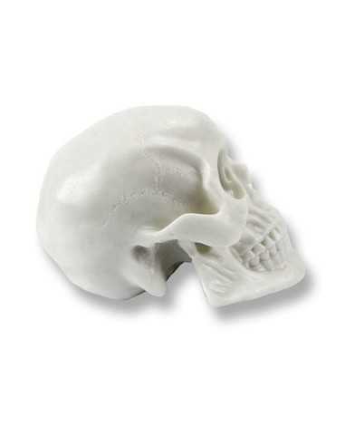 Calavera de Silicona