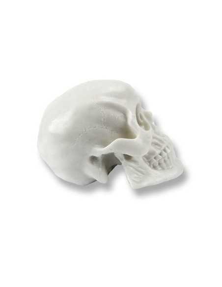 Calavera de Silicona