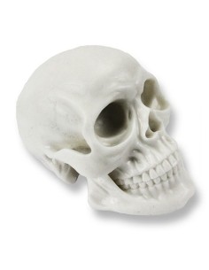 Calavera de Silicona