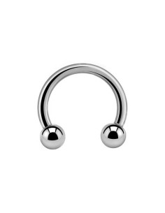Titanium Circular Barbell...