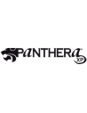 Panthera