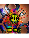 BIG WASP